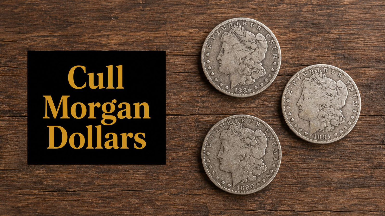 Cull Morgan Dollars: A Guide to Value and Selling in Boise