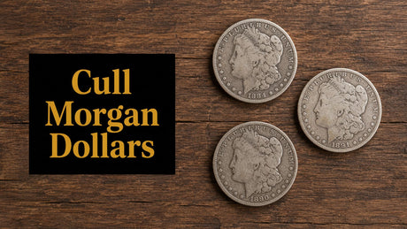 Cull Morgan Dollars: A Guide to Value and Selling in Boise